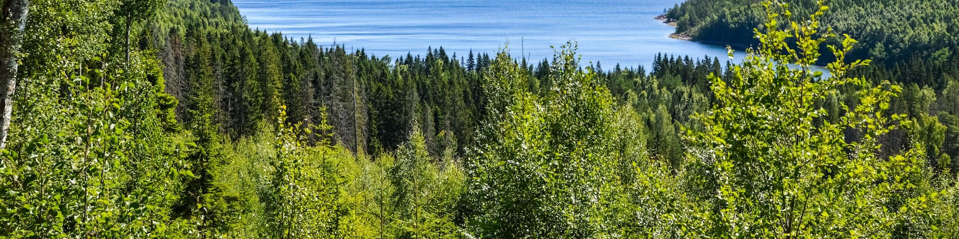 Beautiful view of the archipelago in the high coast. Sweden
