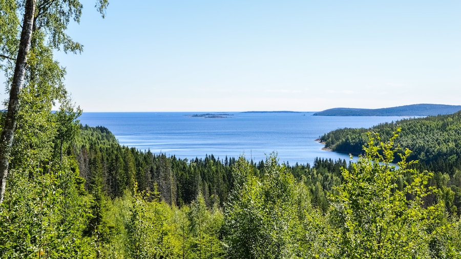 En kustnära skog med fri utsikt över havet och det avlägsna landskapet.