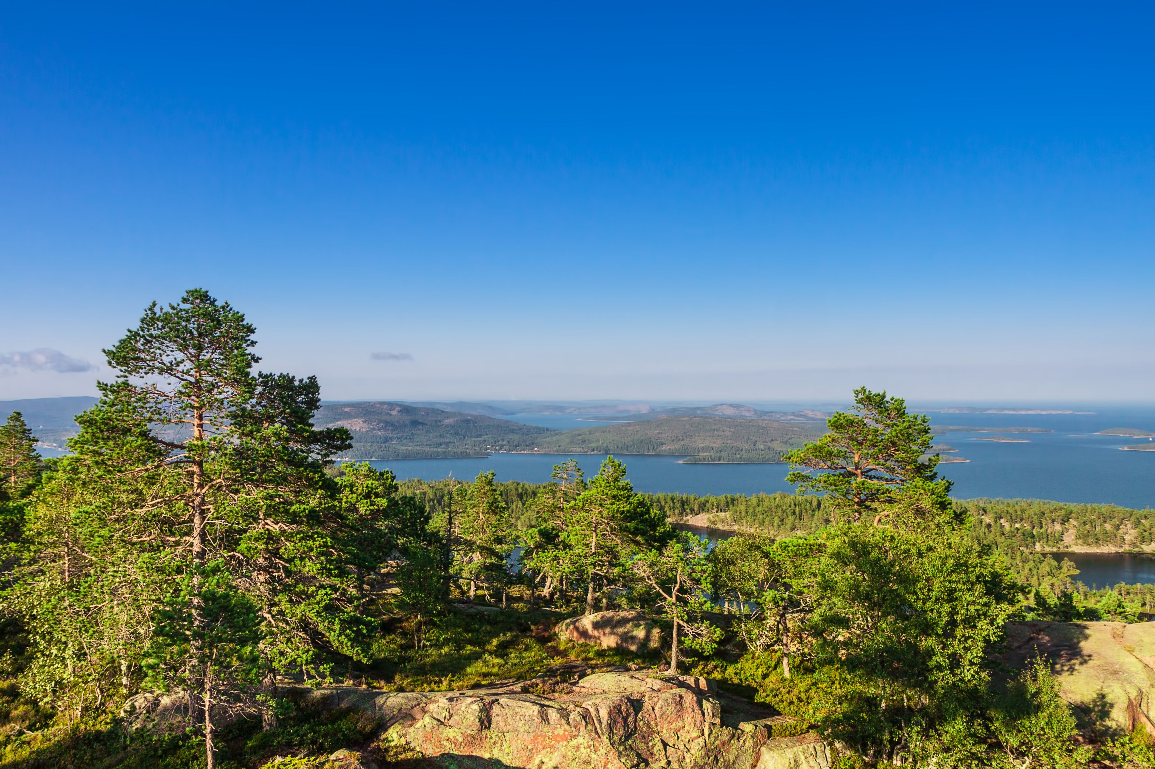 Un paisaje montañoso con bosques verdes y frondosos, un cielo azul despejado y un lago a lo lejos.