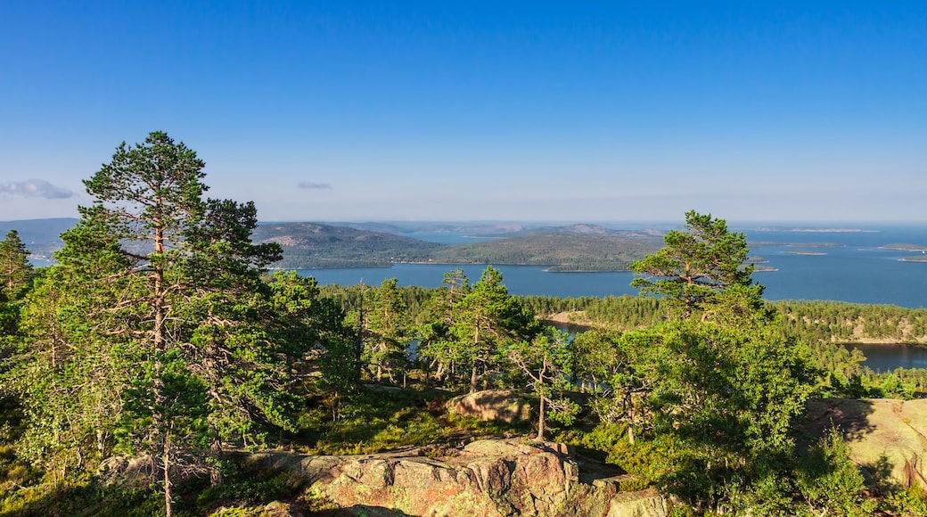 Un paisaje montañoso con bosques verdes y frondosos, un cielo azul despejado y un lago a lo lejos.