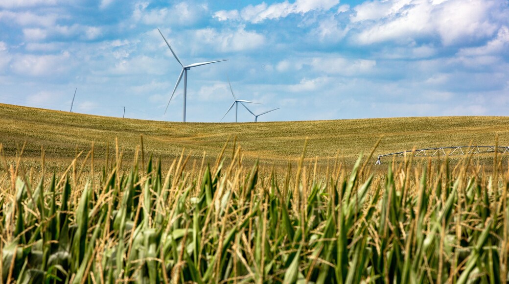 Nebraska corn fields with wind turbines