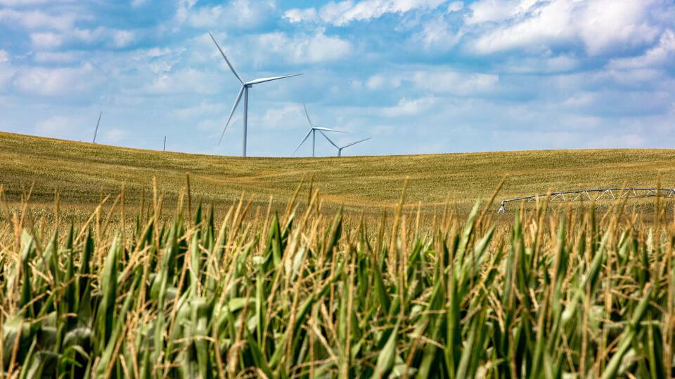 Nebraska corn fields with wind turbines