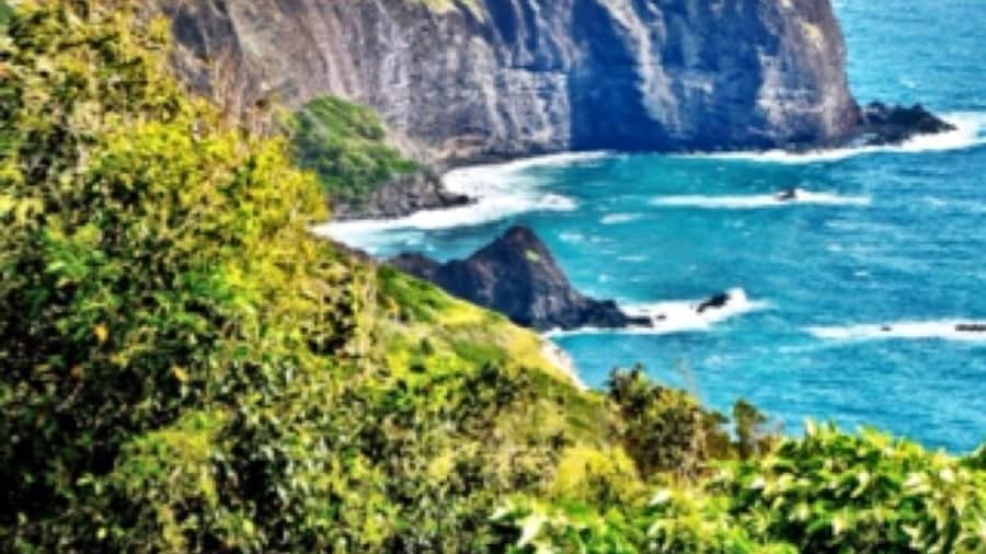 View from the balcony at the Mendes Ranch. Fabulous place for a trail ride with a fun and professional outfitter.