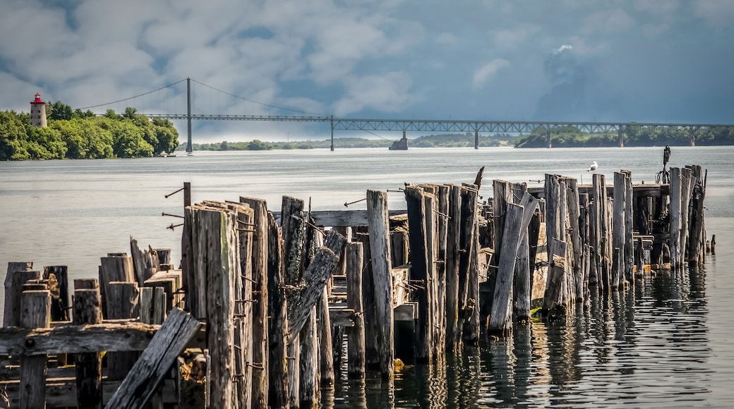 Antique Pilings from an old port