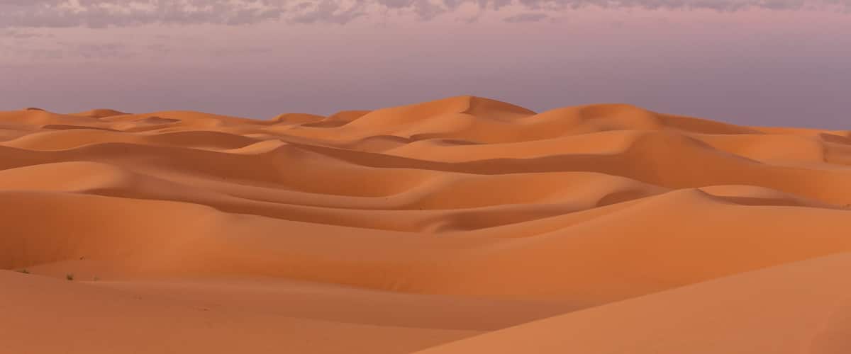 A desert landscape with rolling sand dunes and a clear sky.