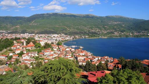 0_fc4724fb-dfaa-4cf5-b990-f00f50e1e980_raw