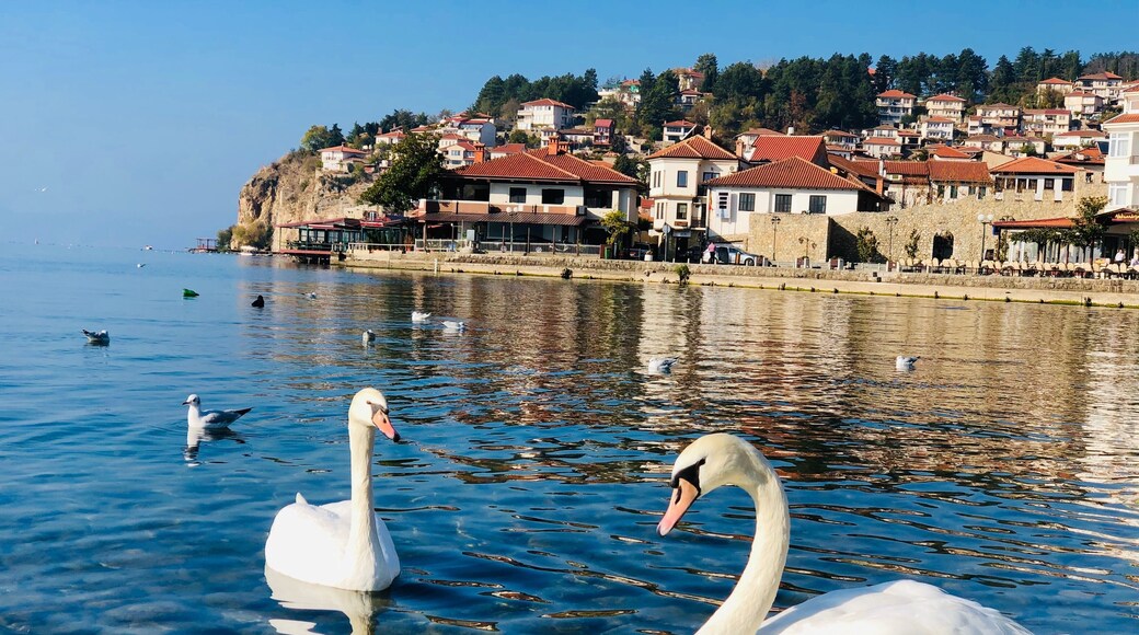 Ohrid lake with the old town behind