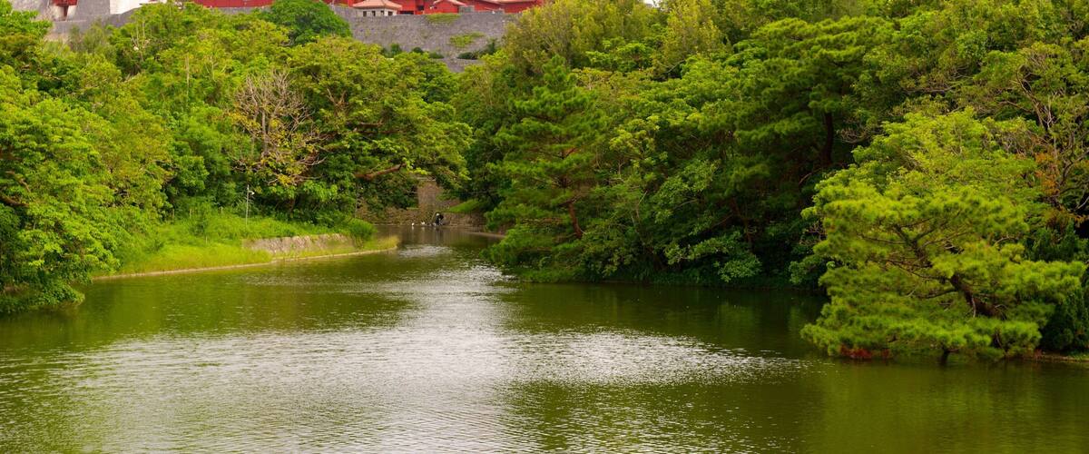 Naha showing a river or creek