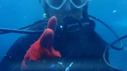 1st scuba diving. I was out of control. Thanks for guiders. They saved my life.