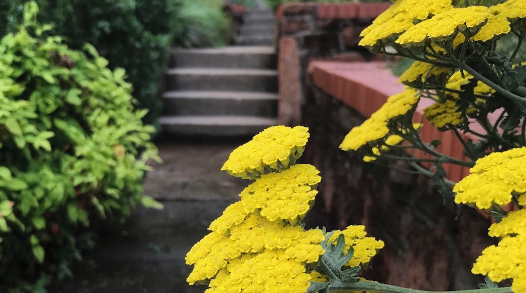 #culture #getoutmore