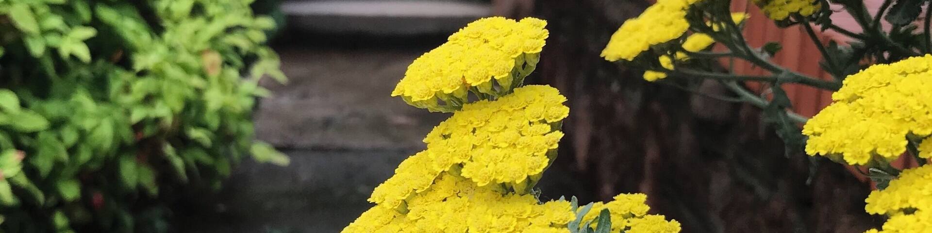 #culture #getoutmore