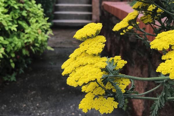 #culture #getoutmore