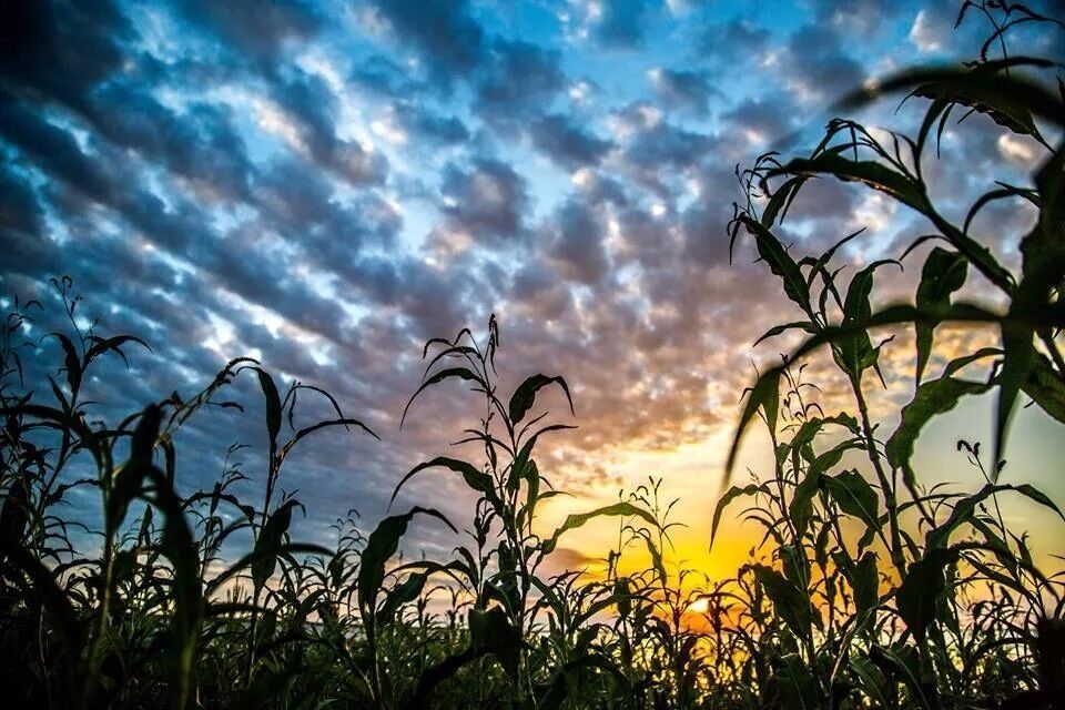 Found a cool spot for sunsets.