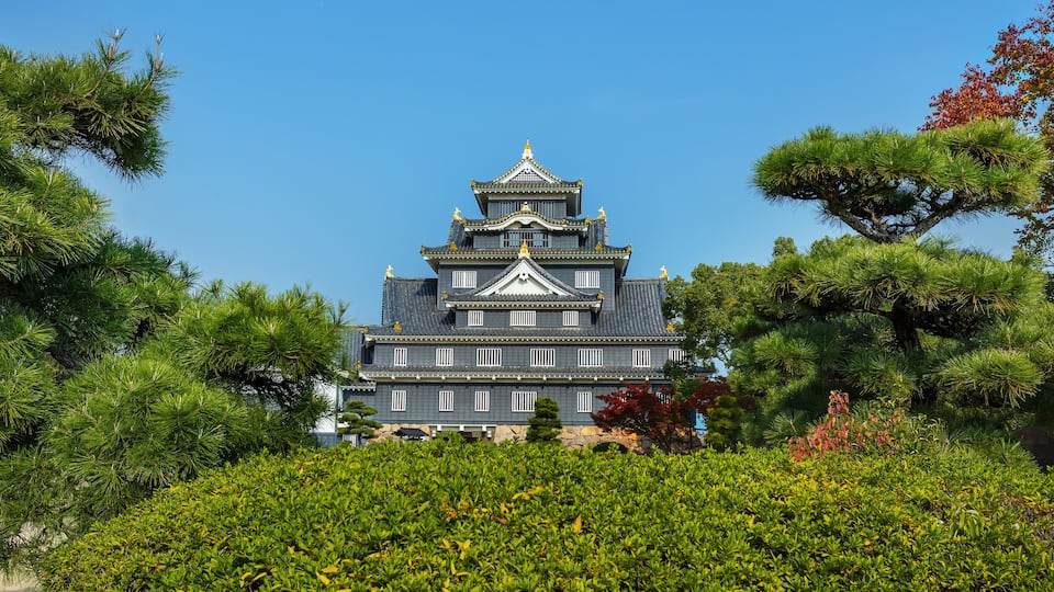 A traditional Japanese castle surrounded by lush greenery.