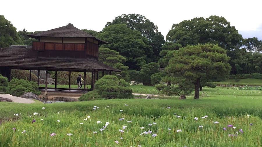 One of 3 greatest gardens in Japan. Koraku-en is a surprise find adjacent to the Okayama Castle. A mere 7 minutes walk and a worthy place to spend the afternoon!