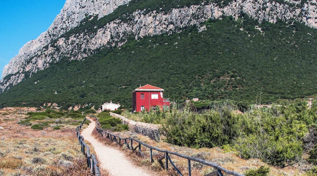 The smallest kingdom in the world.
#GreatOutdoors