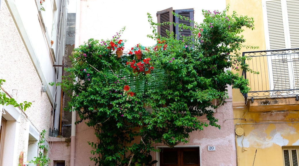 Olbia que incluye una casa