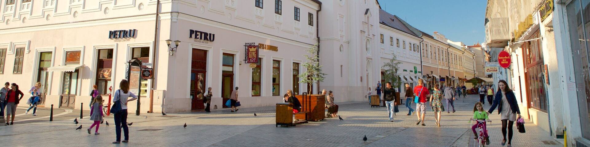Oradea presenterar en solnedgång