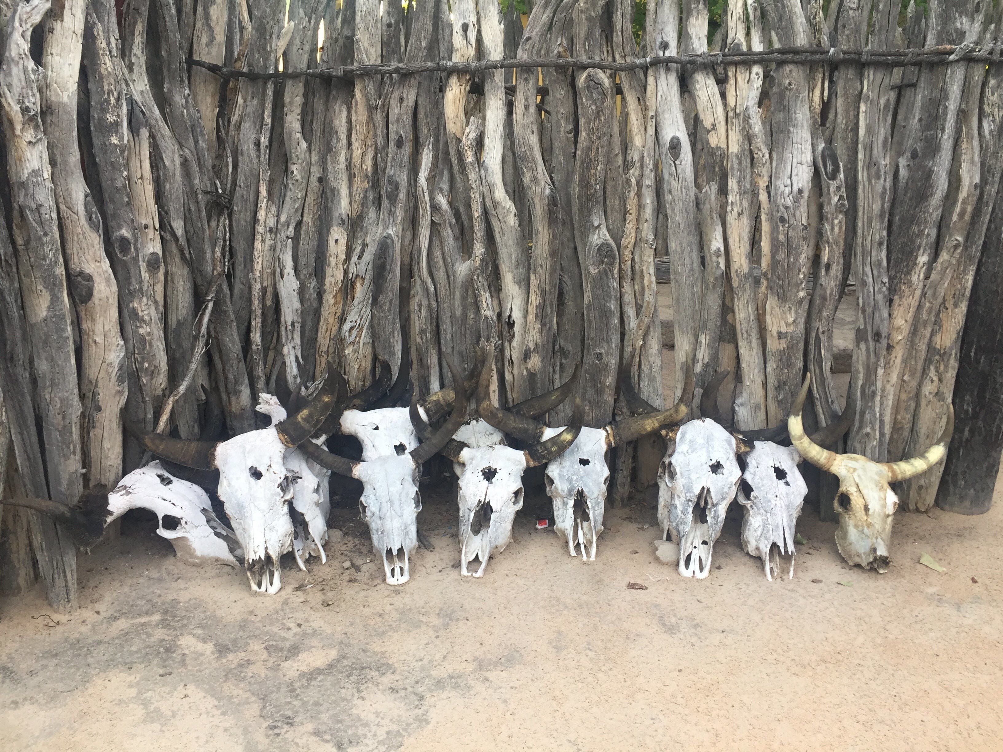 Skulls of bulls tell of many celebrations in the the heart of village life. #CULTURE