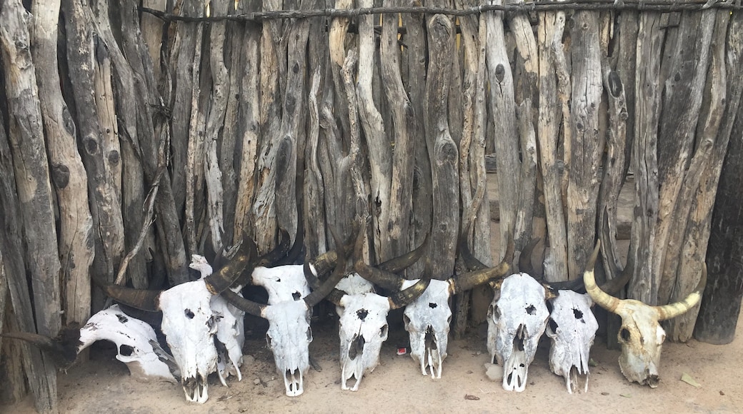 Skulls of bulls tell of many celebrations in the the heart of village life. #CULTURE