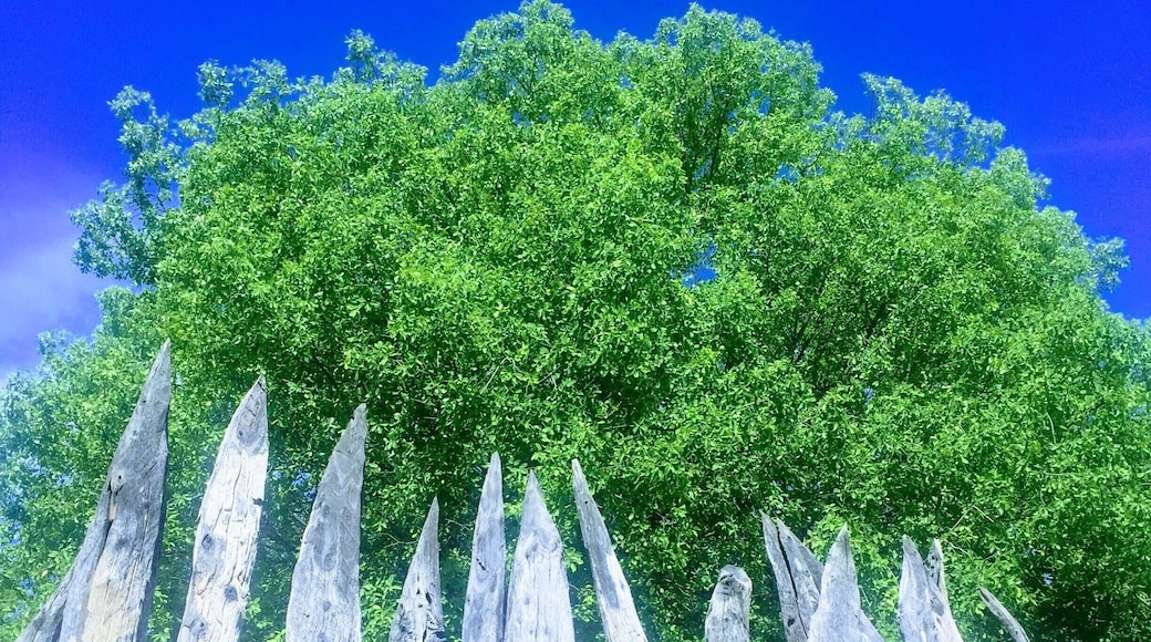 Every homestead has a kraal in the village... even with modern day mansions now the norm. #CULTURE