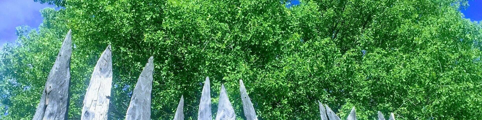 Every homestead has a kraal in the village... even with modern day mansions now the norm. #CULTURE