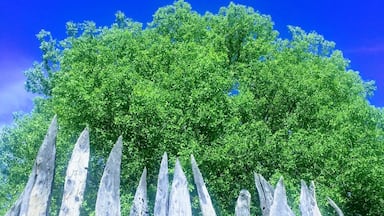 Every homestead has a kraal in the village... even with modern day mansions now the norm. #CULTURE