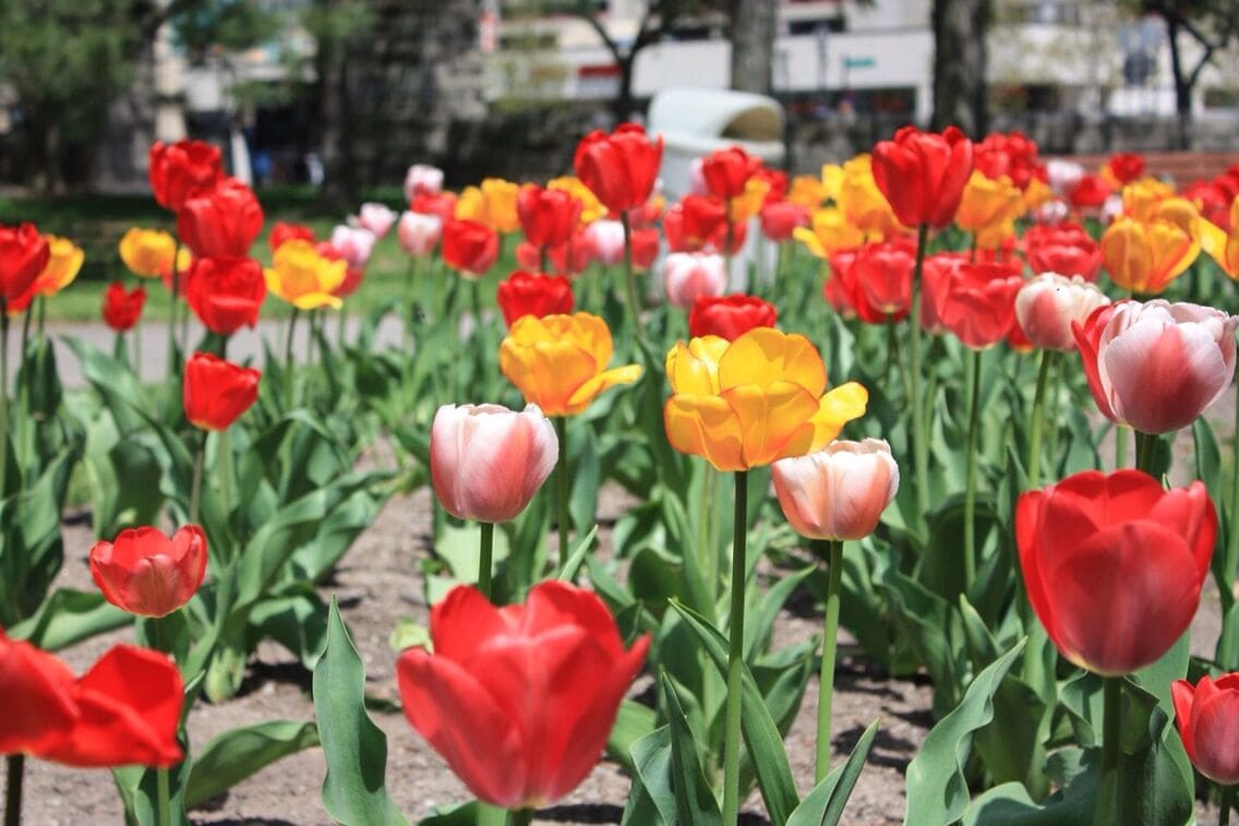 Niagara Falls New York...