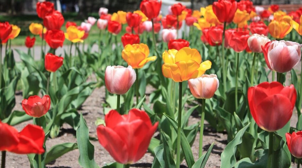 Niagara Falls New York...
