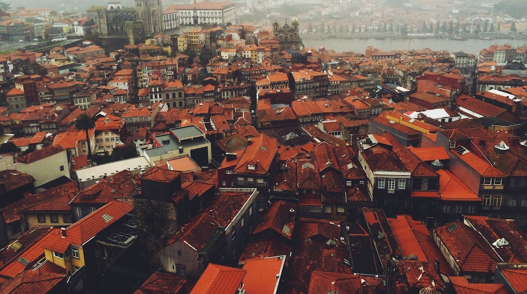 beautiful, rainy Porto, 2014