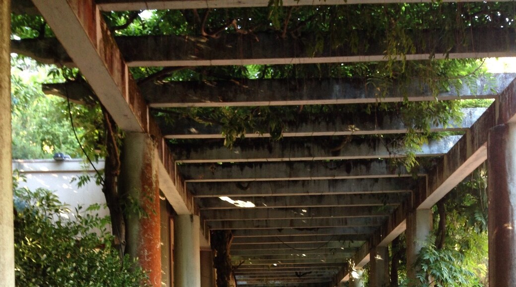 Tea house in Jardim de Serralves.