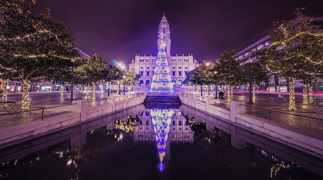 Avenida dos Aliados during Christmas, Porto
#bvstrove