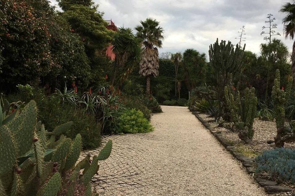A gravel pathway flanked by various cacti and desert plants, leading towards a building with a red roof.