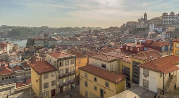 Porto Cathedral is a main attraction of Porto but if you walk past the Pillory of Porto down the steps you will find a nice view of the city.
#potugal #porto #BvsCities