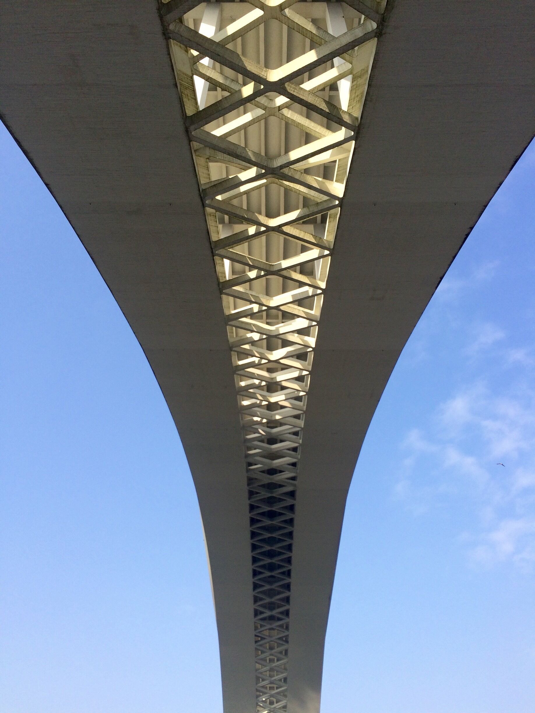 São Pedro da Afurada