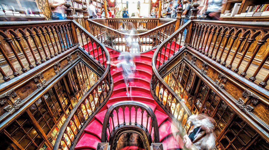 Wonderfull historical library in Porto.