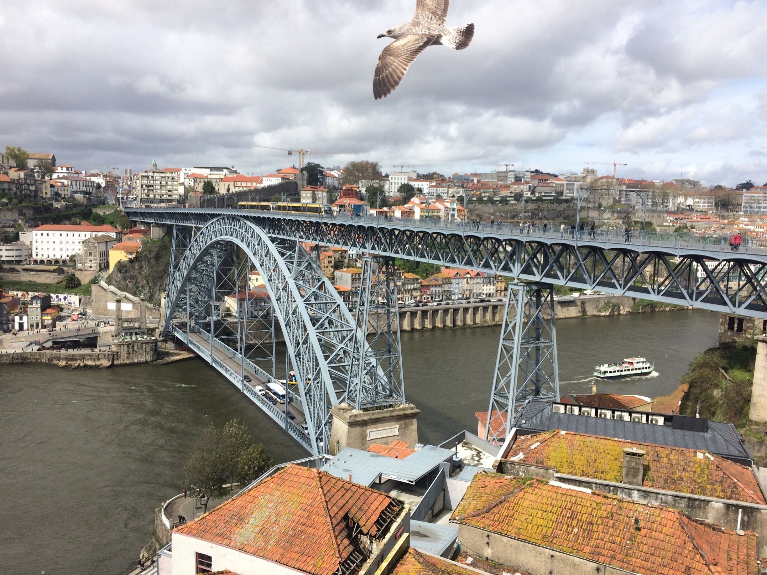 A seagull swoops down over the Dom Luís bridge. A double-deck metal arch bridge that spans the River Douro between the cities of Porto and Vila Nova de Gaia in Portugal.