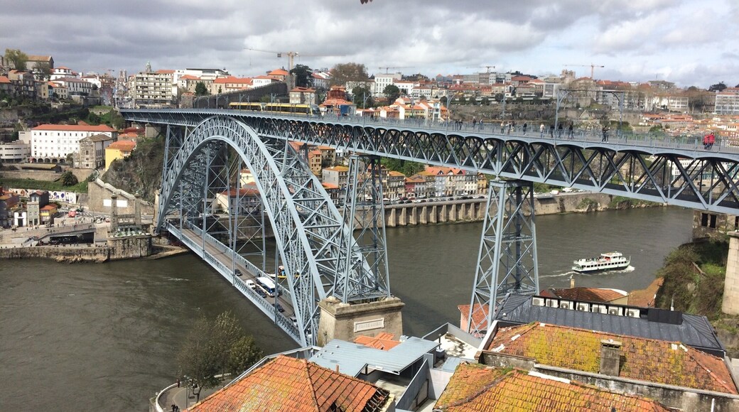 A seagull swoops down over the Dom Luís bridge. A double-deck metal arch bridge that spans the River Douro between the cities of Porto and Vila Nova de Gaia in Portugal.