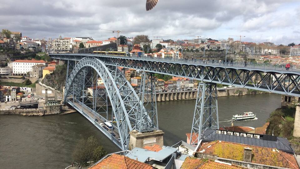 A seagull swoops down over the Dom Luís bridge. A double-deck metal arch bridge that spans the River Douro between the cities of Porto and Vila Nova de Gaia in Portugal.