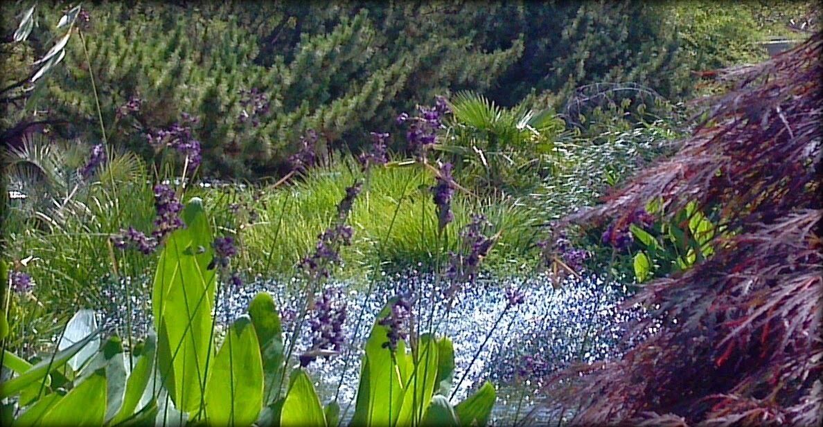 #localgem
The Pagoda and Oriental Garden is a quiet walled-in park overlooking the harbor in Norfolk's Freemason neighborhood just a few blocks away from downtown Norfolk.
