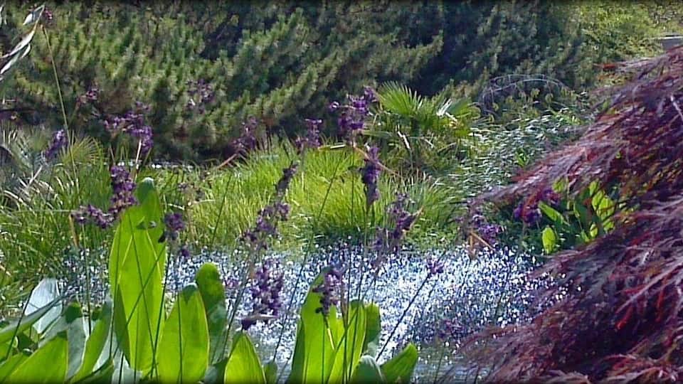 #localgem
The Pagoda and Oriental Garden is a quiet walled-in park overlooking the harbor in Norfolk's Freemason neighborhood just a few blocks away from downtown Norfolk.