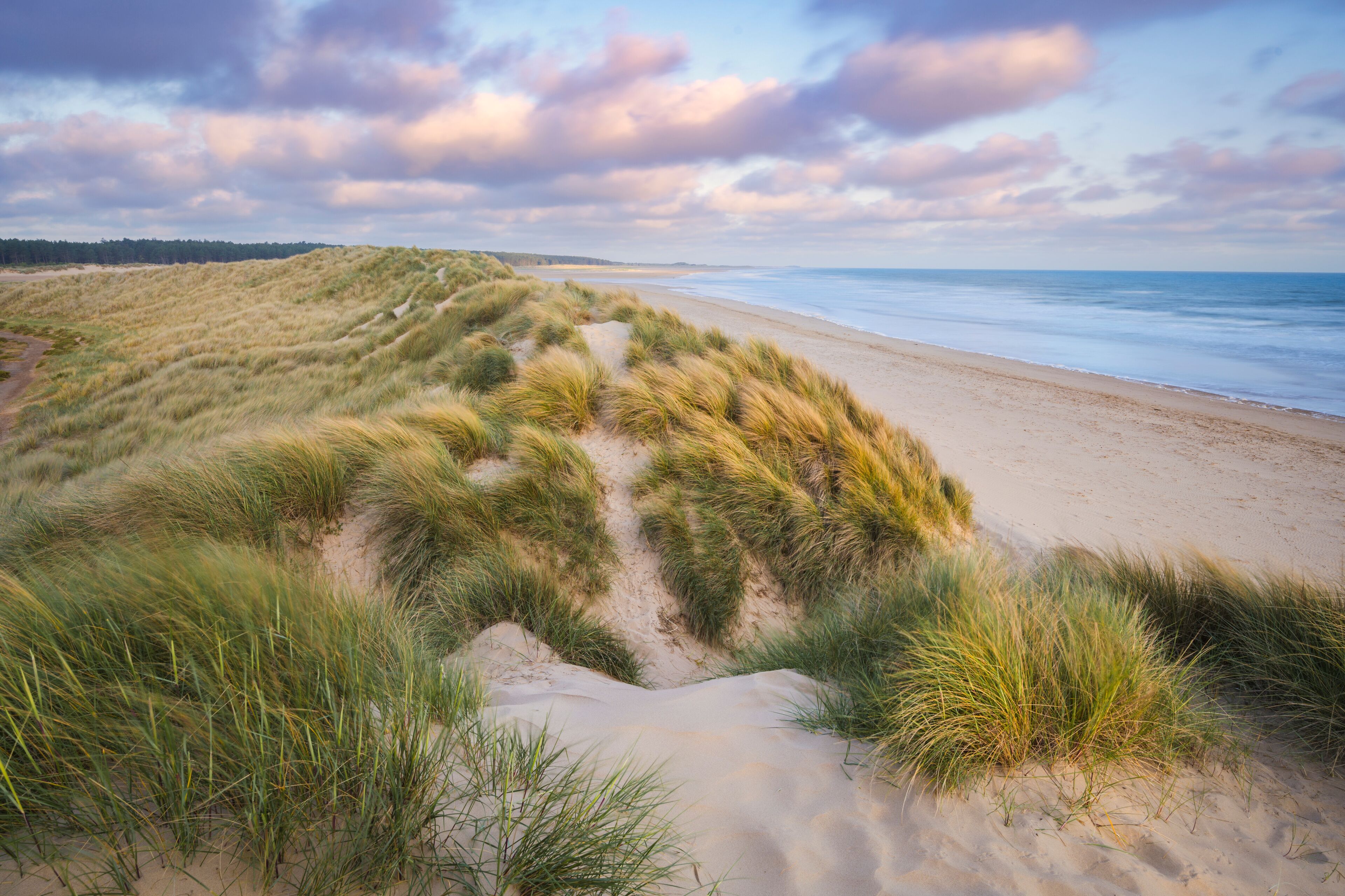 A beach with sand dunes and grassy vegetation.