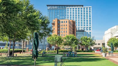 Norfolk which includes a garden