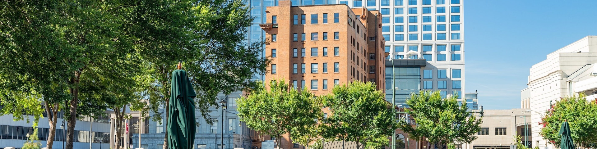 Norfolk which includes a garden