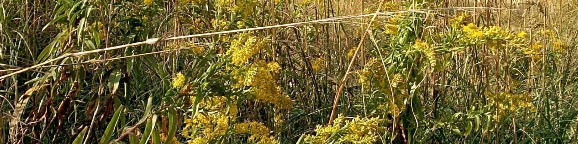 The last of the summer beach days.