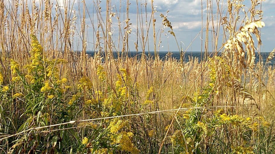The last of the summer beach days.