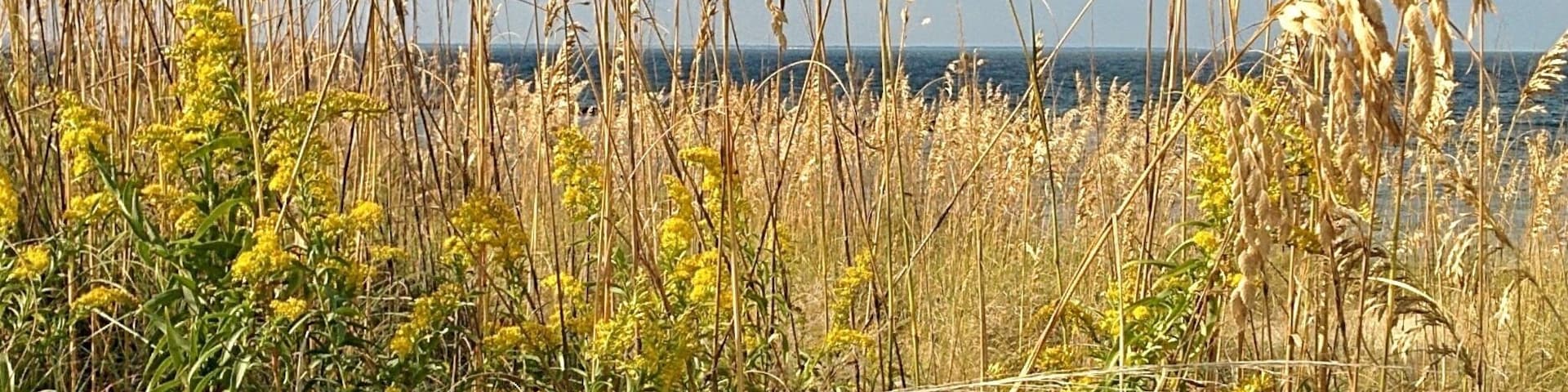The last of the summer beach days.
