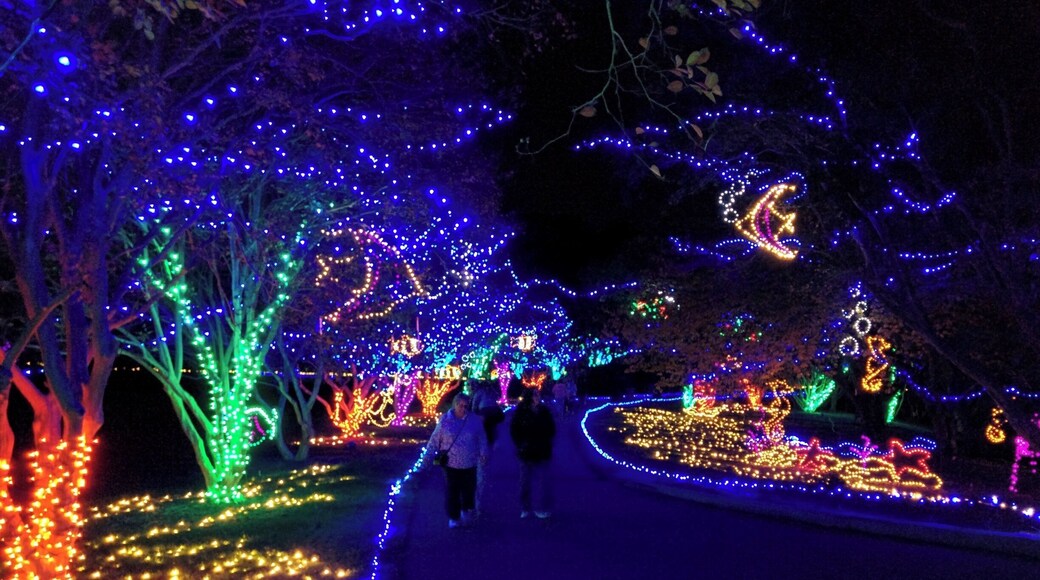 Million Bulb Walk
Norfolk Botanical Gardens
Norfolk, VA