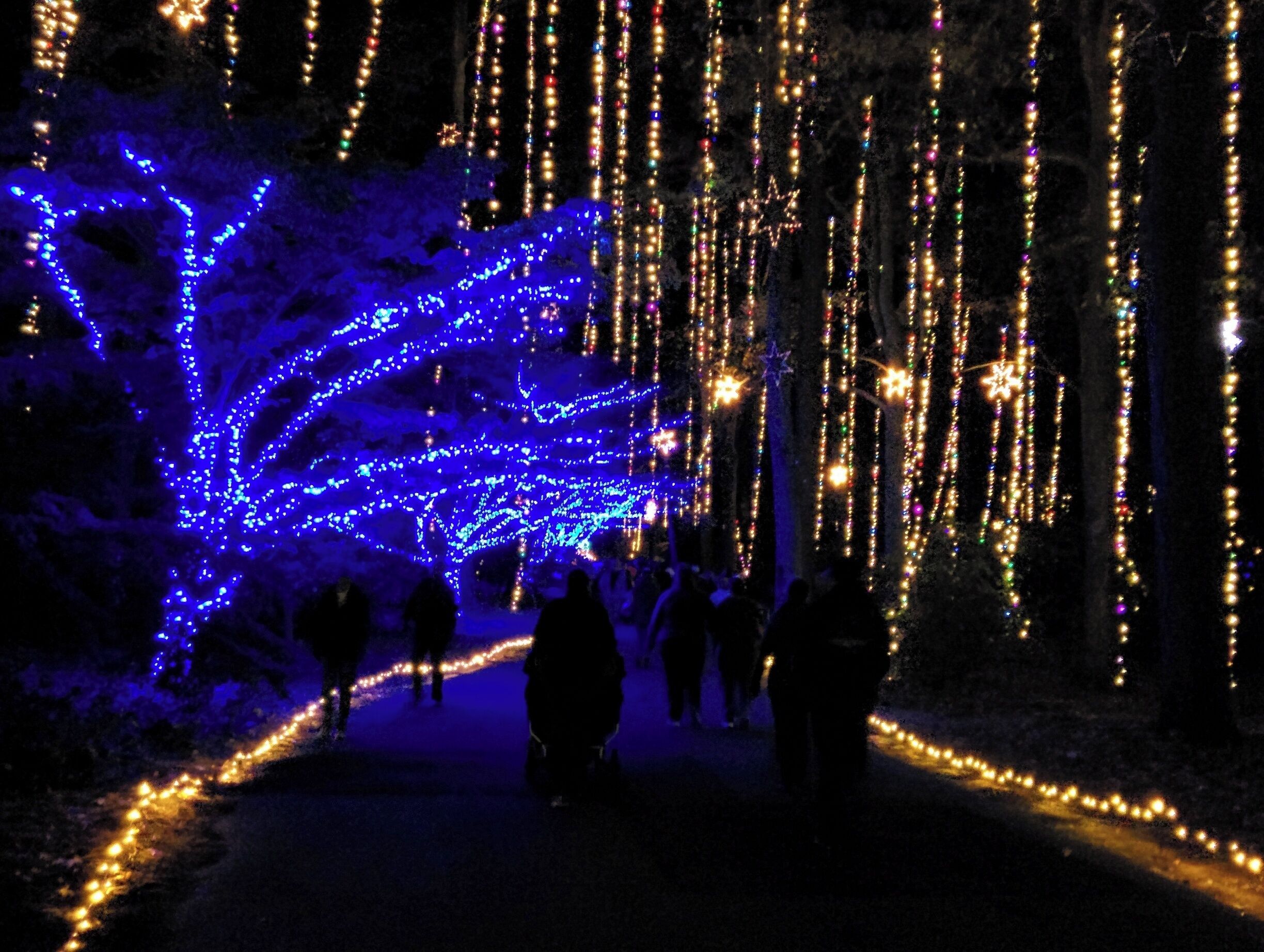 Million Bulb Walk
Norfolk Botanical Gardens
Norfolk, VA