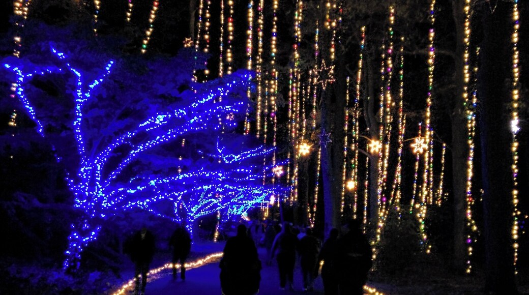 Million Bulb Walk
Norfolk Botanical Gardens
Norfolk, VA